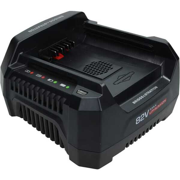 BS Chargeur de batterie OE - 1760264 - Chargeur batterie 220 V B&S