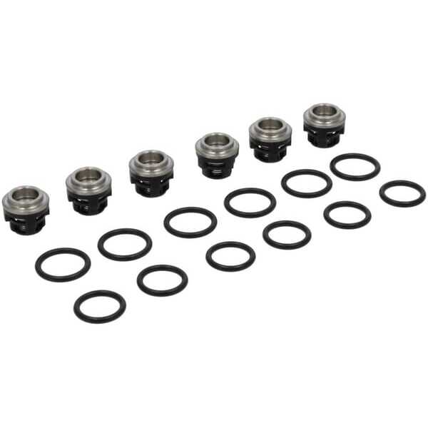 BS Briggs & Stratton OE - 193955GS - Kit clapet anti-retour