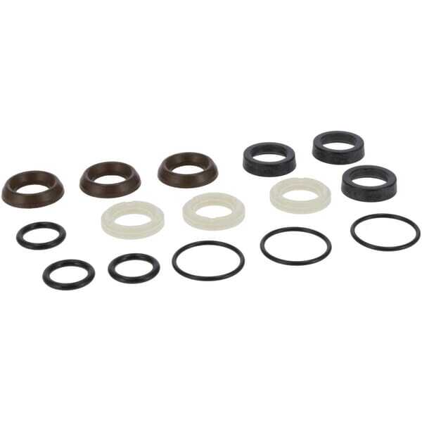 BS Water pump gasket Briggs & Stratton - 198845GS - Kit joint d’étanchéité