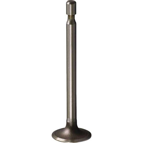 BS Soupape briggs & Stratton - 261055S - Soupape d'admission