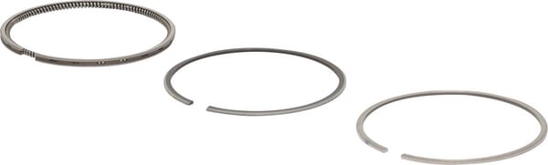 BS  - 2992825512 - Ringsæt standard