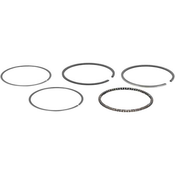 BS Segments Briggs & Stratton - 493782 - Ensemble de bagues standards