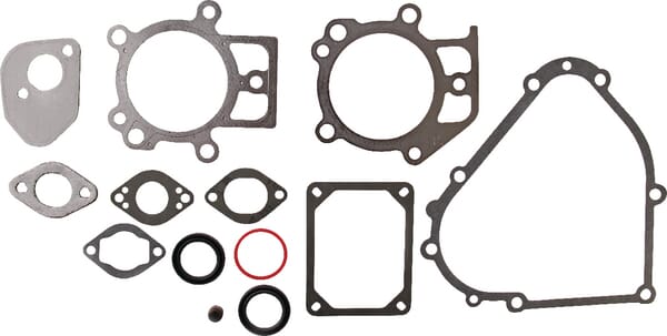 Briggs & Stratton Joint moteur - 695438 - Kit de joints