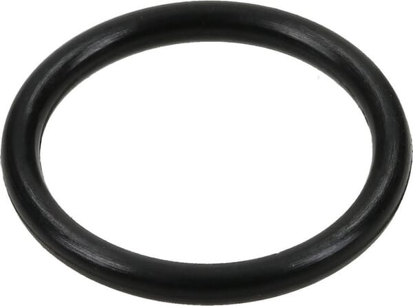 Joint torique - 698550 - Briggs & Stratton