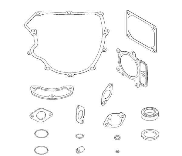 Briggs & Stratton Joint moteur - 699823 - Kit de joints