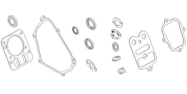 Briggs & Stratton Joint moteur - 791797 - Kit de joints