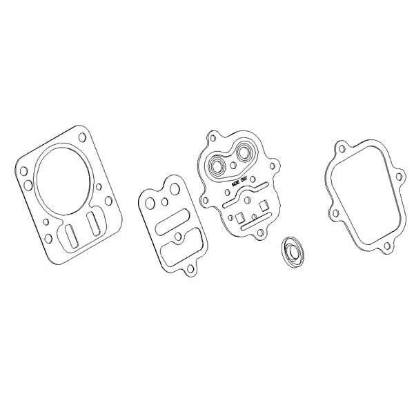 BS Joint de culasse Briggs & Stratton - 791798 - Kit de joints de culasse
