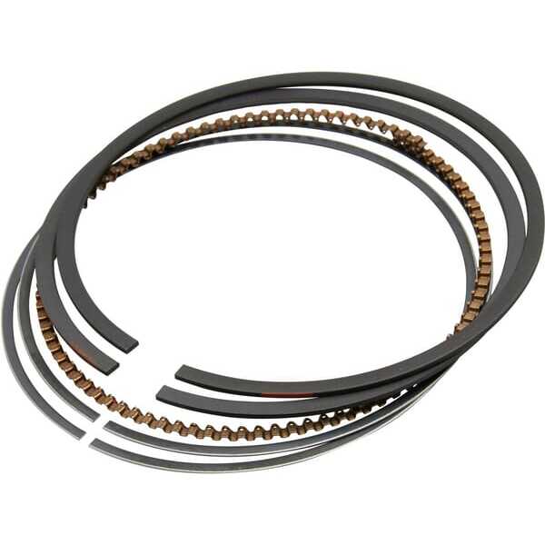BS Segments Briggs & Stratton - 792073 - Jeu de bagues-020