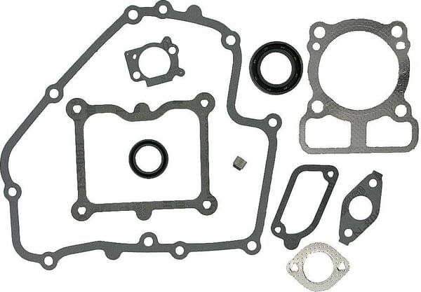 Briggs & Stratton Joint moteur - 793623 - Kit de joints