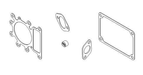 Briggs & Stratton Joint moteur - 794152 - Kit de joints