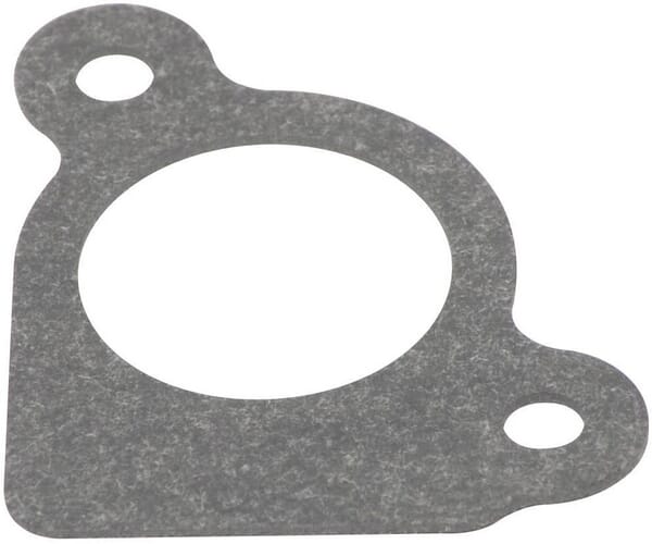 Briggs & Stratton Joint de filtre à aire - 794306 - Joint d\'admission