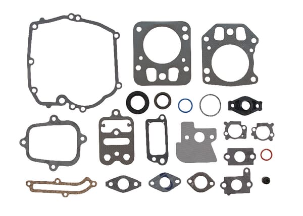 Briggs & Stratton Joint moteur - 795442 - Kit de joints