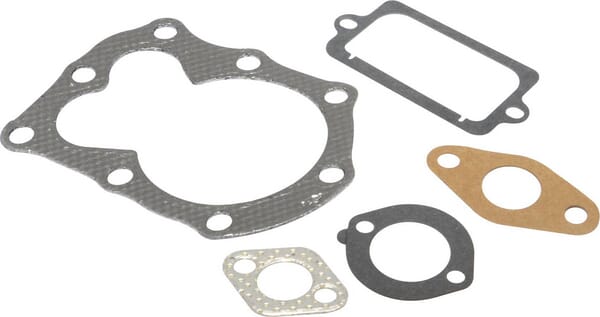 Briggs & Stratton Joint moteur - 795972 - Kit d'étanchéité, soupape