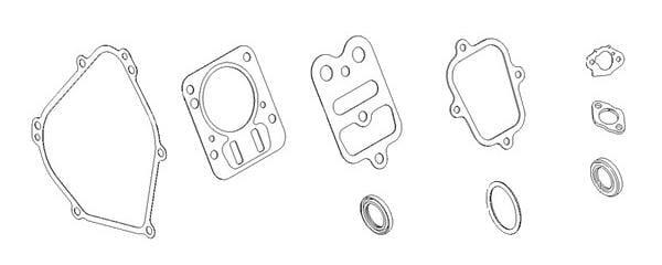 Briggs & Stratton Joint moteur - 798540 - Kit de joints moteur