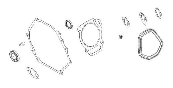 Briggs & Stratton Joint moteur - 799952 - Kit d'étanchéité moteur