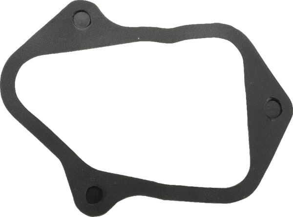 Joint de soupape - 84006588 - Briggs & Stratton