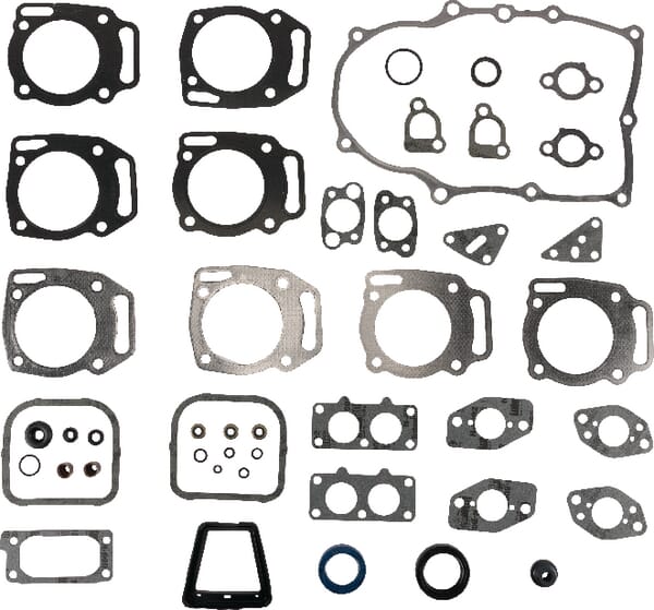 Briggs & Stratton Joint moteur - 84010903 - Kit de joints moteur