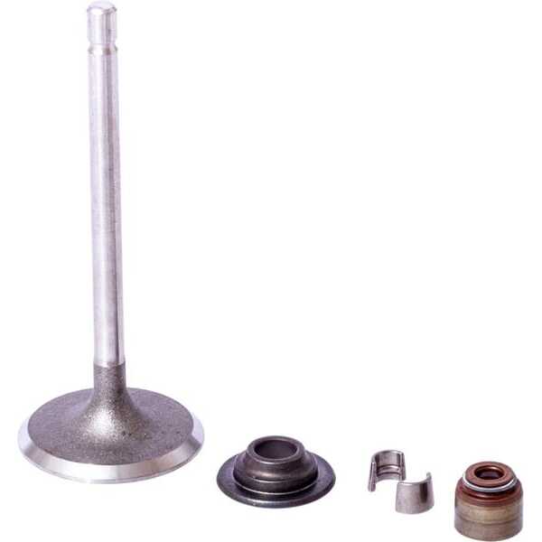 BS Soupape briggs & Stratton - 843730 - Soupape d'admission