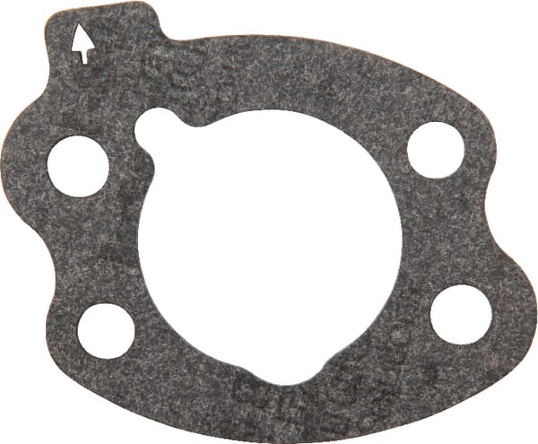 Joint de filtre à air Briggs - 844931 - Briggs & Stratton