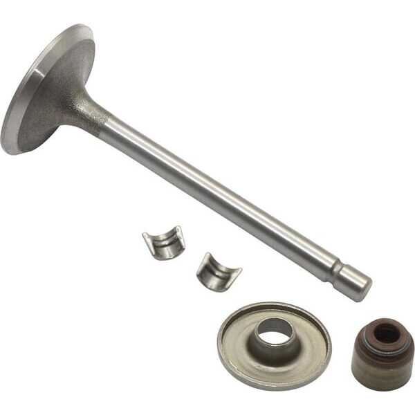 BS Soupape briggs & Stratton - 845712 - Soupape d'admission