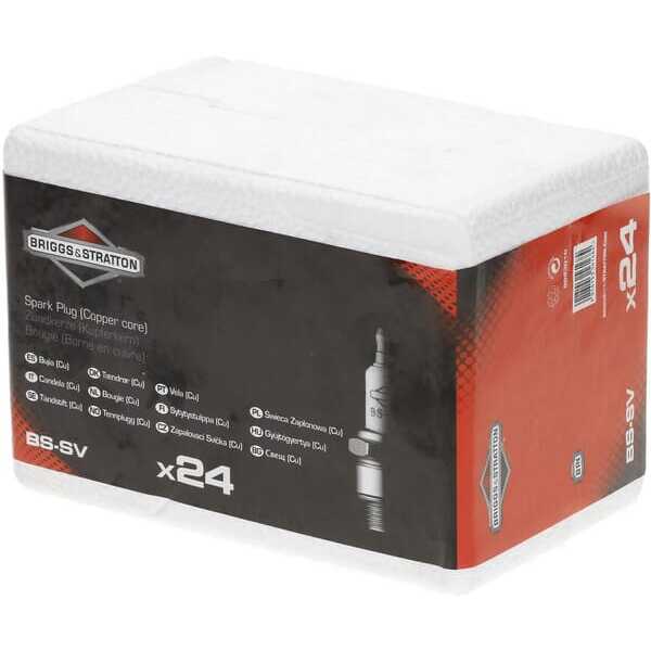 BS Bougies Briggs & Stratton _ - 992301C - Bougies BS-SV atelier 24x